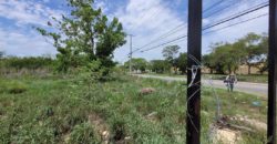 Terreno en renta sobre avenida en Conkal, norte de Mérida