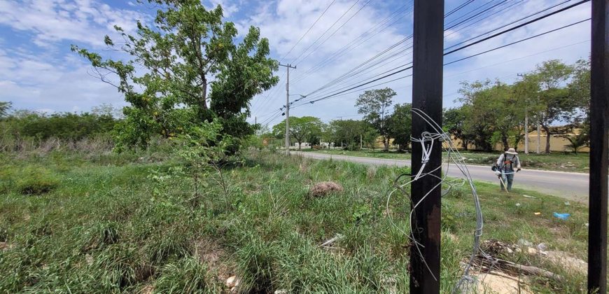 Terreno en renta sobre avenida en Conkal, norte de Mérida