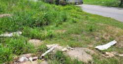 Terreno en renta sobre avenida en Conkal, norte de Mérida
