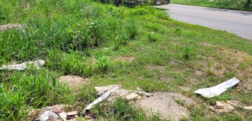Terreno en renta sobre avenida en Conkal, norte de Mérida