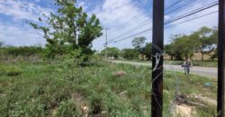 Terreno en renta sobre avenida en Conkal, norte de Mérida
