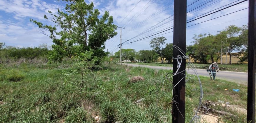Terreno en renta sobre avenida en Conkal, norte de Mérida