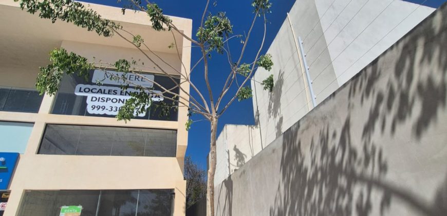 Local en Renta Plaza Manere Conkal. Planta Baja
