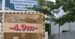 Local en Renta Plaza Manere Conkal. Planta Baja