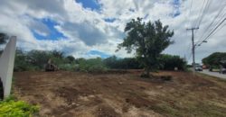 Terreno en renta sobre avenida en Conkal, norte de Mérida 531m2