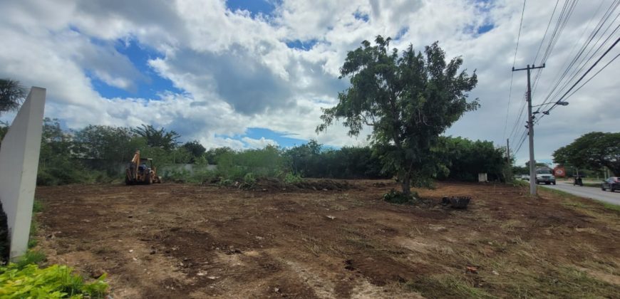 Terreno en renta sobre avenida en Conkal, norte de Mérida 531m2