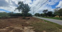 Terreno en renta sobre avenida en Conkal, norte de Mérida 531m2
