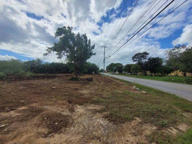 Terreno en renta sobre avenida en Conkal, norte de Mérida 531m2
