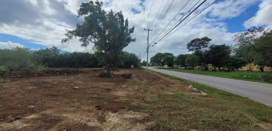 Terreno en renta sobre avenida en Conkal, norte de Mérida 531m2
