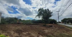 Terreno en renta sobre avenida en Conkal, norte de Mérida 531m2
