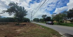 Terreno en renta sobre avenida en Conkal, norte de Mérida 531m2