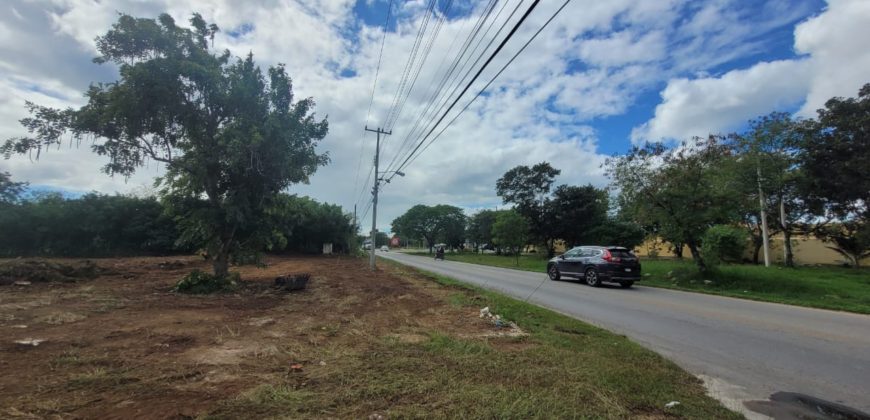 Terreno en renta sobre avenida en Conkal, norte de Mérida 531m2