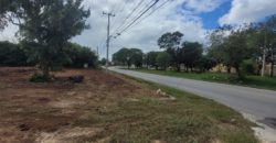 Terreno en renta sobre avenida en Conkal, norte de Mérida 531m2