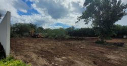 Terreno en renta sobre avenida en Conkal, norte de Mérida 531m2