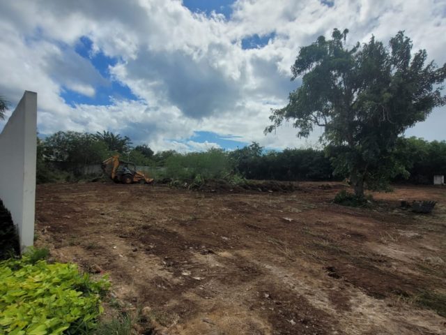 Terreno en renta sobre avenida en Conkal, norte de Mérida