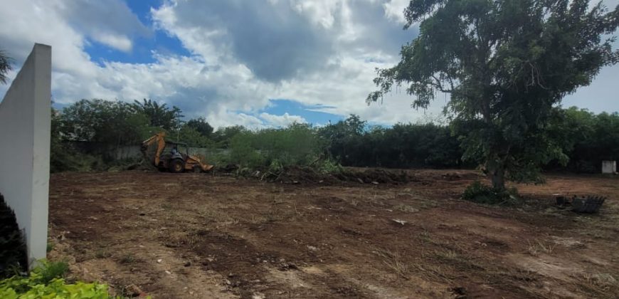 Terreno en renta sobre avenida en Conkal, norte de Mérida 531m2