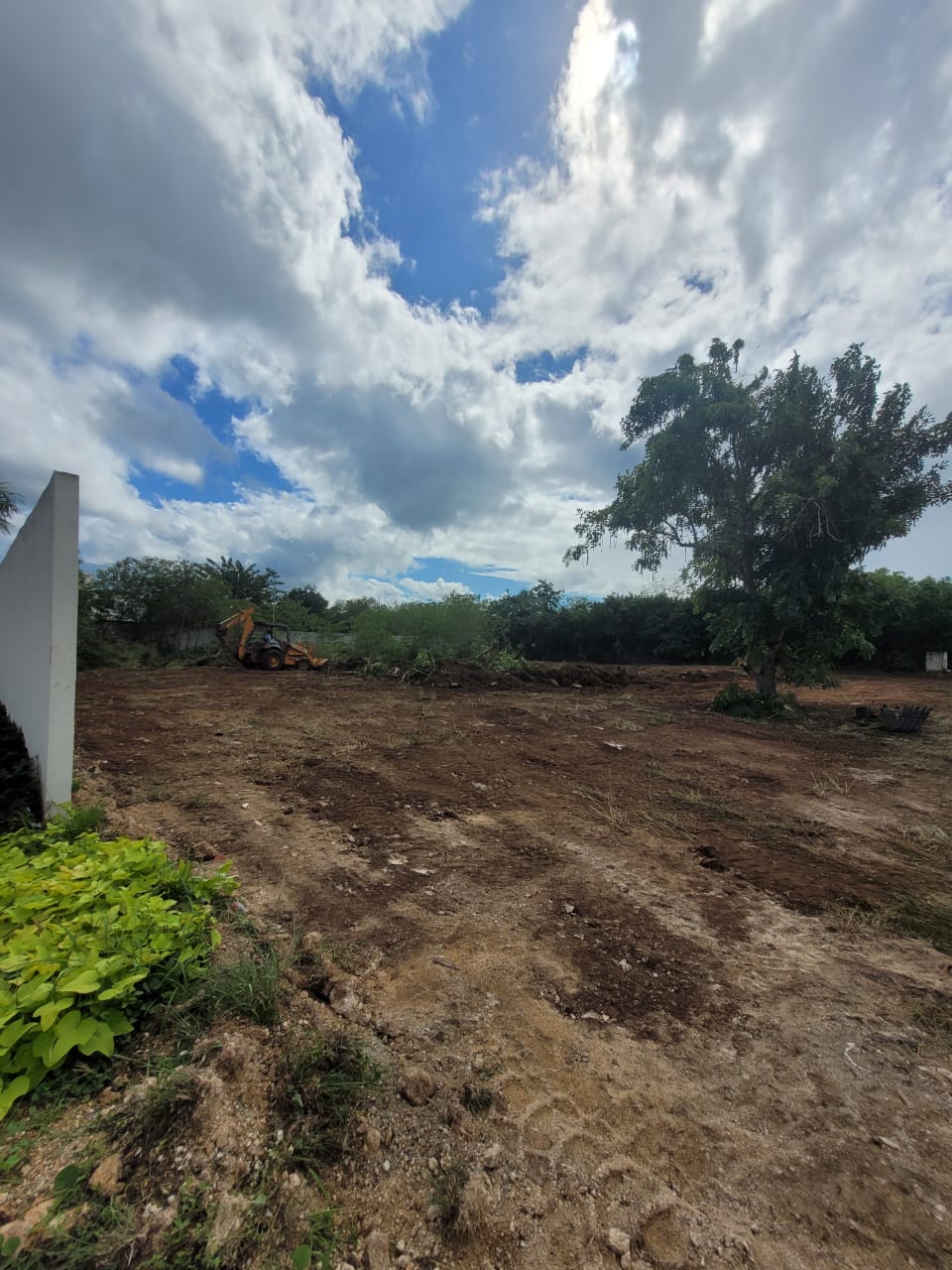 Terreno en renta sobre avenida en Conkal, norte de Mérida