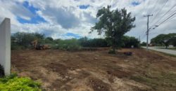 Terreno en renta sobre avenida en Conkal, norte de Mérida 531m2