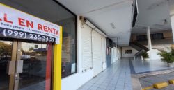 Local en renta en plaza Campestre al norte de la ciudad de Mérida